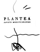 Plantea