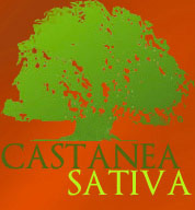 Viveros Castanea Sativa