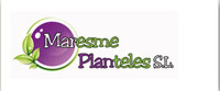 Maresme Planteles