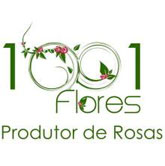 1001 Flores