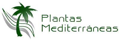Plantas Mediterráneas