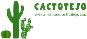 Cactotejo