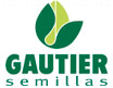 Gautier Semillas