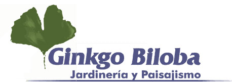 Ginkgo Biloba - Jardinería y Paisajismo