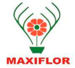 Maxiflor