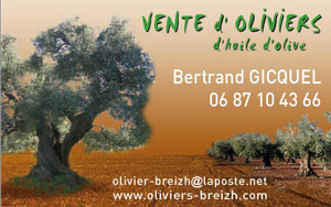 Olivier-Breizh