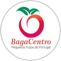 Bagacentro