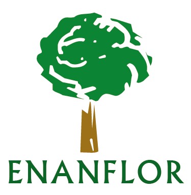 Enanflor - Enrique Figueiras Pérez