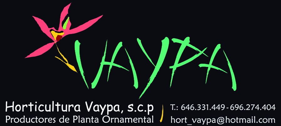 Horticultura Vaypa