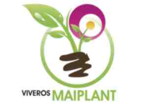 Viveros Maiplant