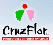 Cruz Flor