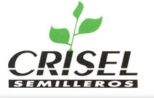 Semilleros Crisel