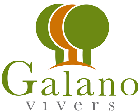 Vivers Galano