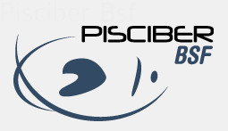 Pisciber