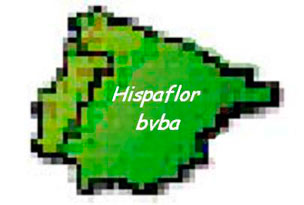 Hispaflor