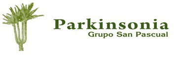 Parkinsonia Grupo Viveros San Pascual