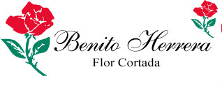 Flores Benito Herrera