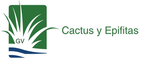 Cactus y Epífitas GV