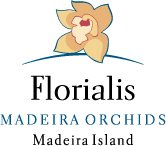 Florialis