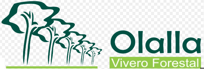 Olalla Vivero Forestal 