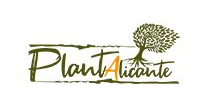 Plant Alicante