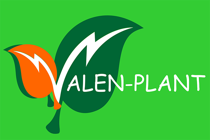 Valen Plant