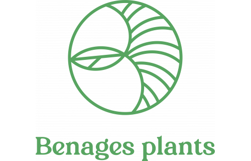 Benages Plants