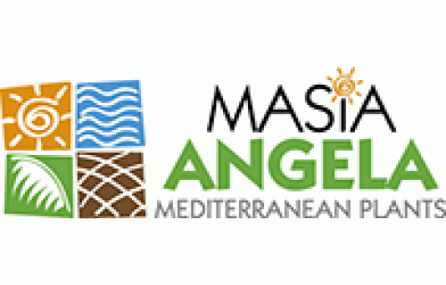 Masía Ángela Mediterranean Plants