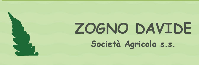 Zogno Davide