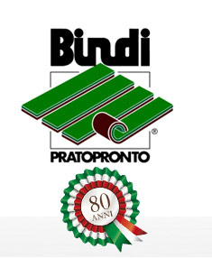 Bindi Pratopronto S.S.