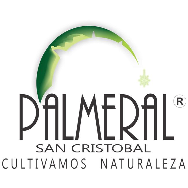 Palmeral San Cristóbal