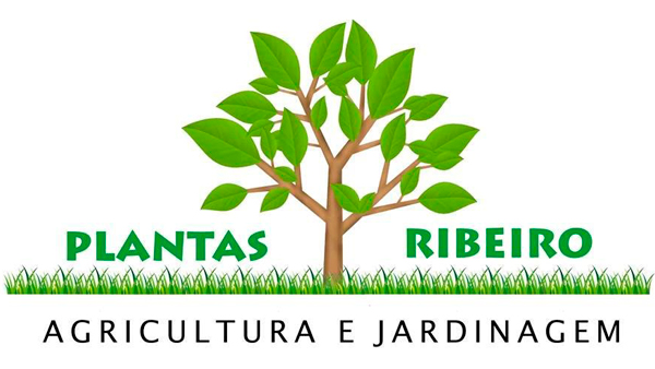 Plantas Ribeiro