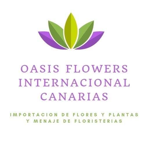 Oasis Flowers Internacional Canarias