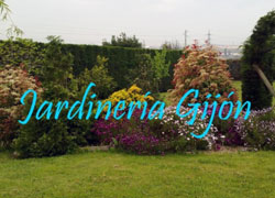 Jardinería Gijón