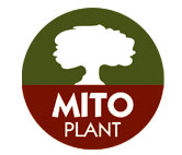 Mitoplant