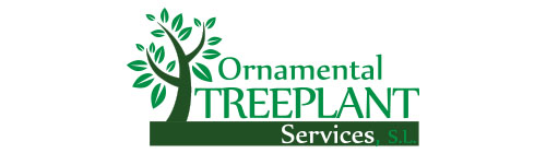 Ornamental Treeplant