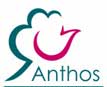 Anthos - Dutch Nurersy Stock Council - 