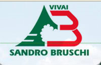 Vivai Sandro Bruschi
