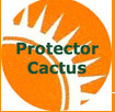 Mendez Arguete Asociados - Protector Cactus
