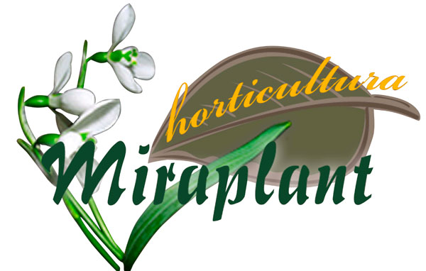 Horticultura Miraplant