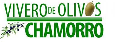 VIVERO DE OLIVOS CHAMORRO