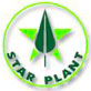 Star Plant - Estel Plant