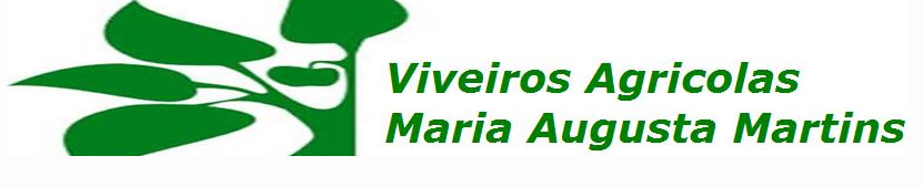 Viveiros Agricolas Maria Augusta Martins