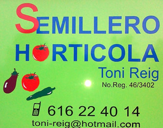 semillero toni reig