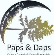 Paps Daps Plantas Ornamentais