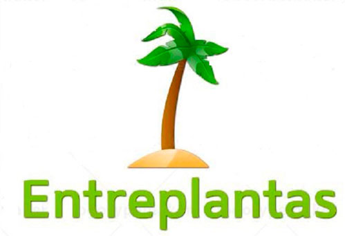 Entreplantas