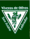 Vivero de Olivo San Isidro Labrador