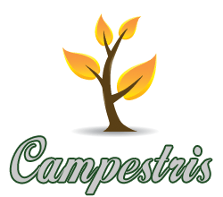 Campestris