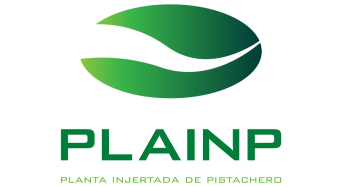 PLAINP