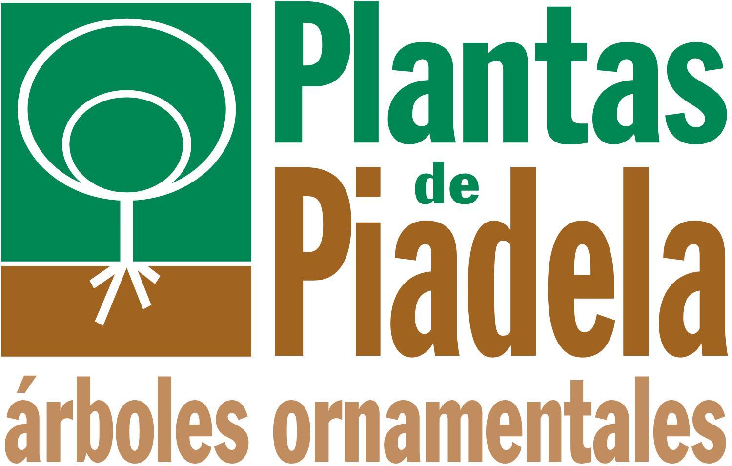 Plantas de Piadela